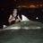 Bull Shark - Brisbane 1